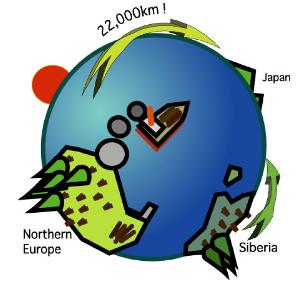 i木材の輸送距離の比較